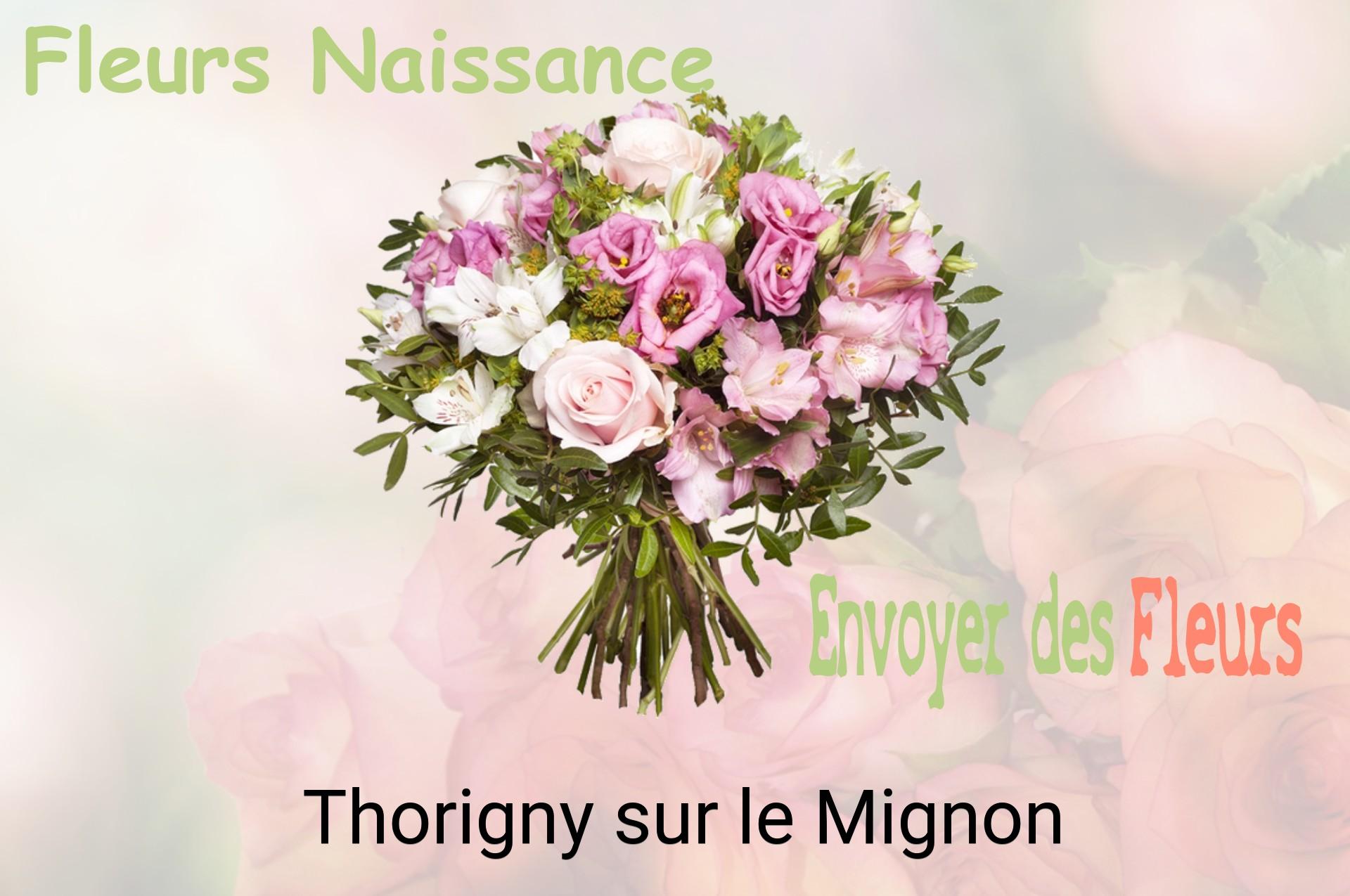 Bouquet de fleurs de naissance livré à Thorigny-sur-le-Mignon