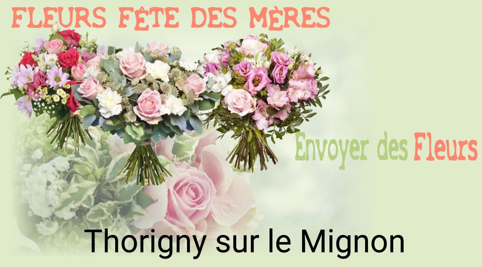 Bouquet de Fête des Mères livré à Thorigny-sur-le-Mignon